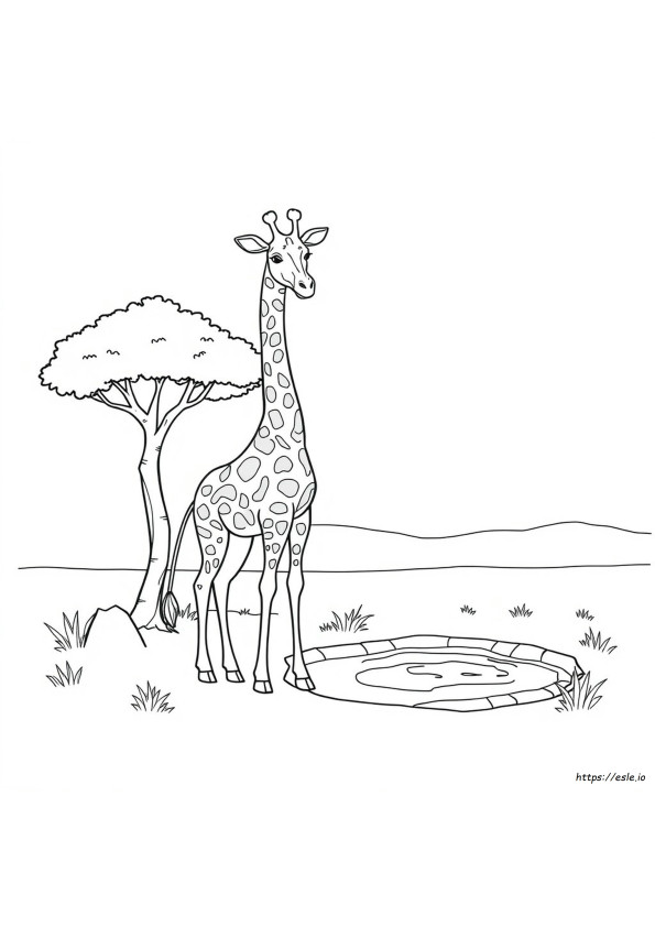 Giraffe Kleurplaten