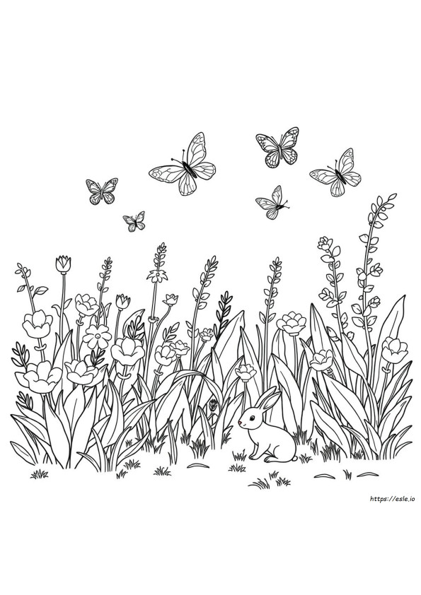 Coloriages Plantes Et Animaux