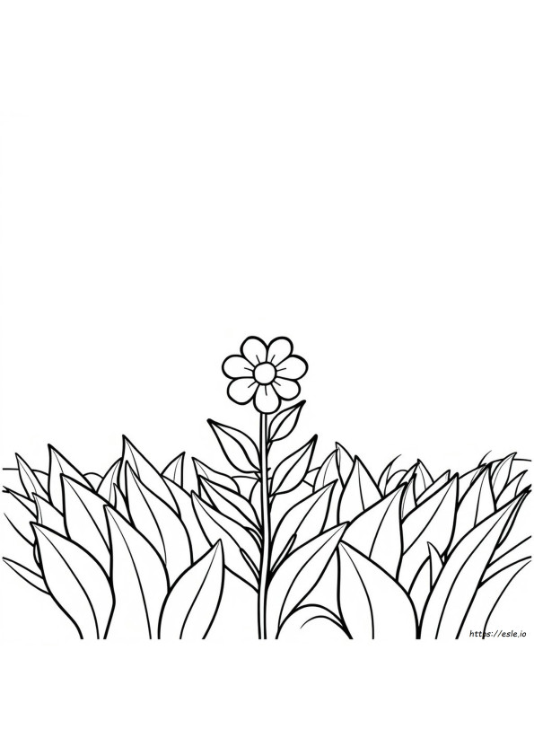 Fiore Da Colorare