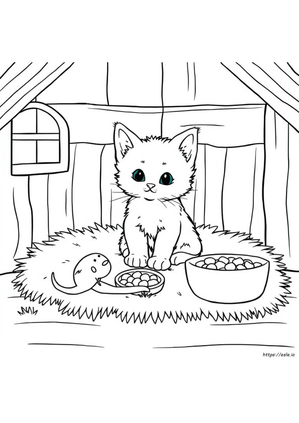 Kleurboekjes Met Kittens