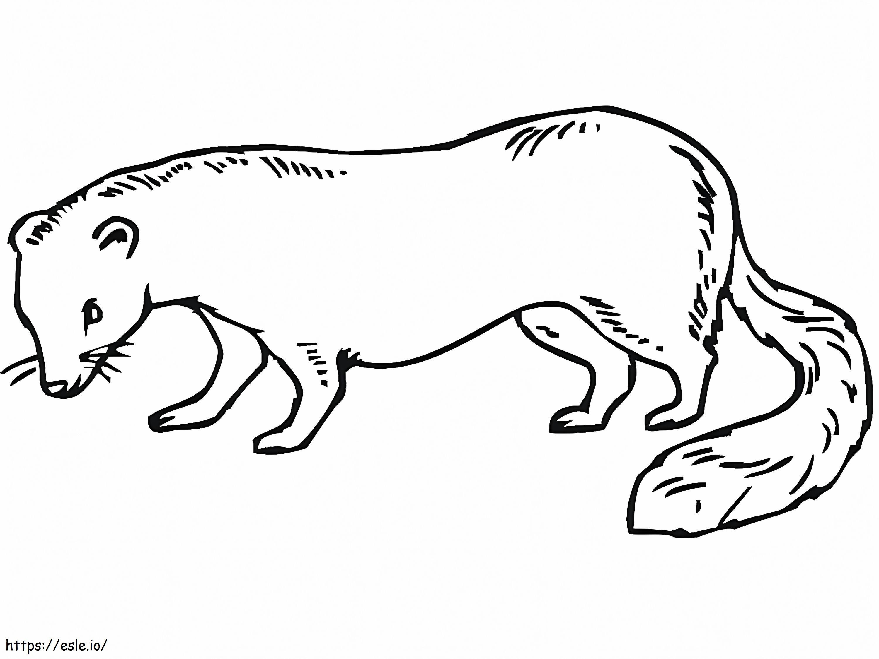 Weasel Imprimível Grátis para colorir