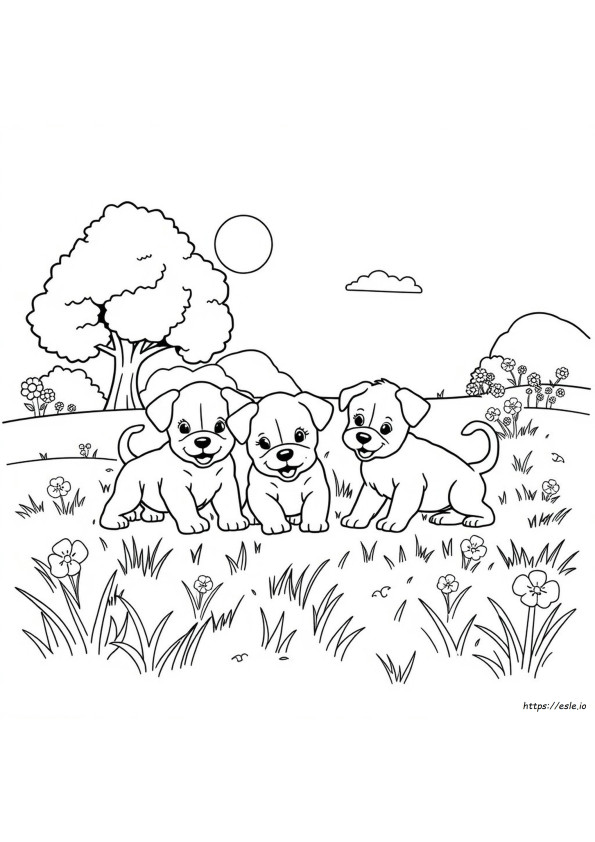 Coloring Pages With Puppies