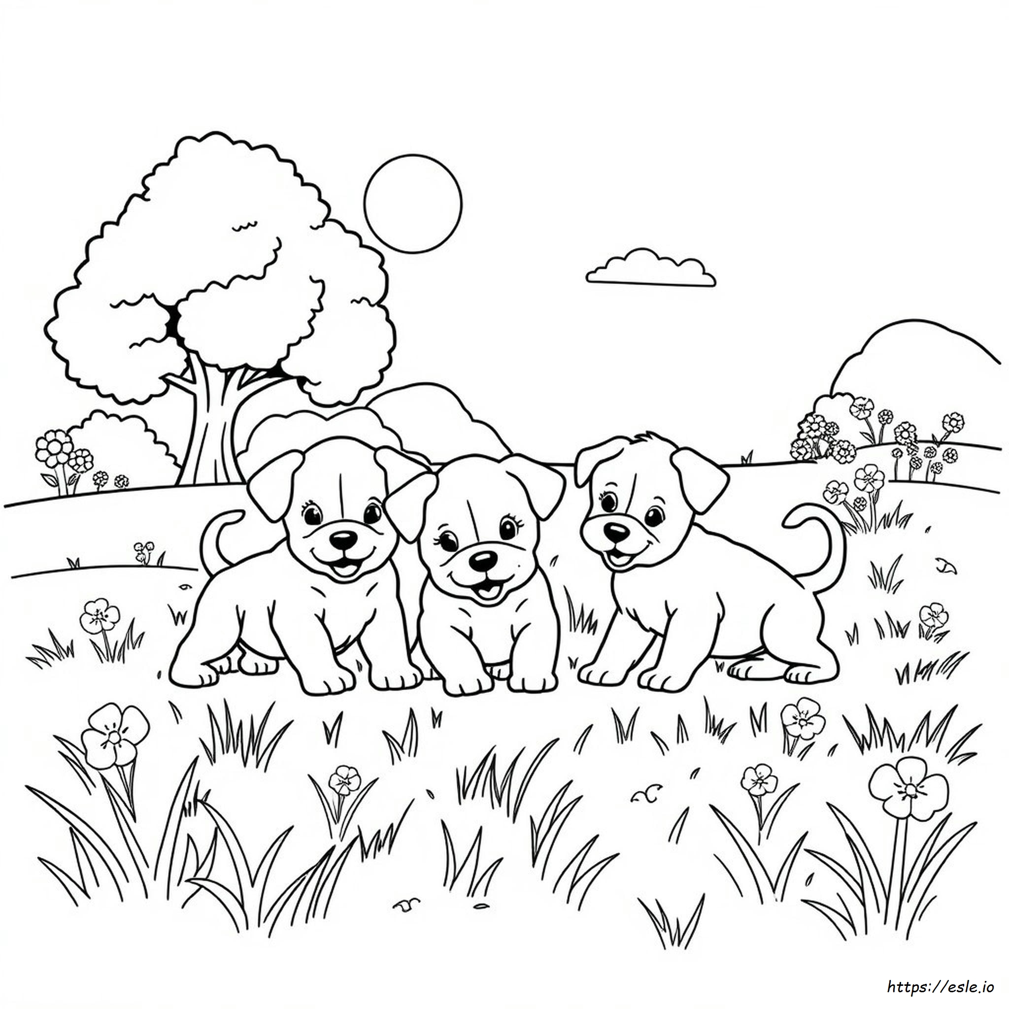 Desenhos Para Colorir De Cachorrinhos