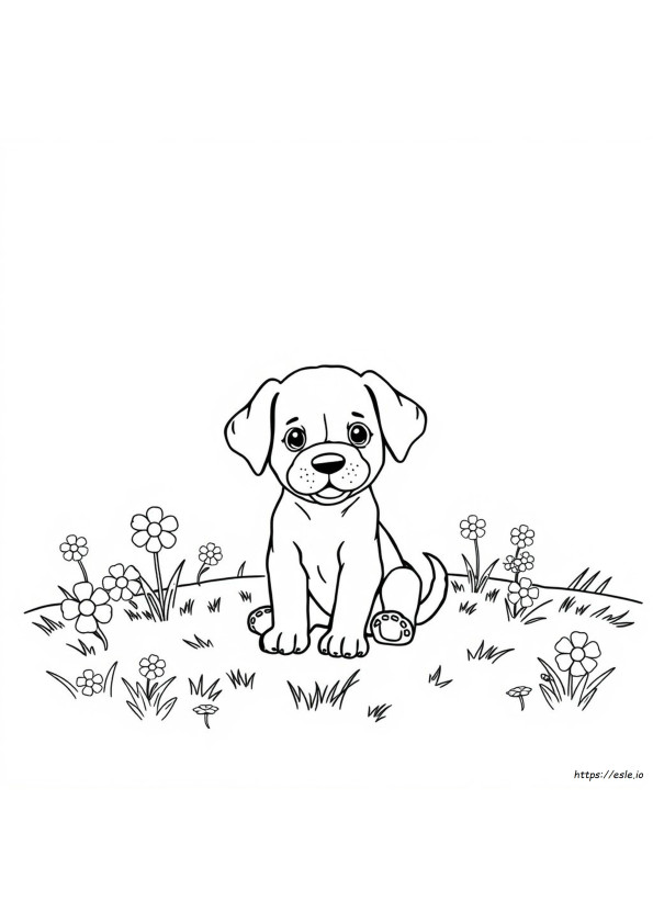Colouring Pages Of Puppies To Print