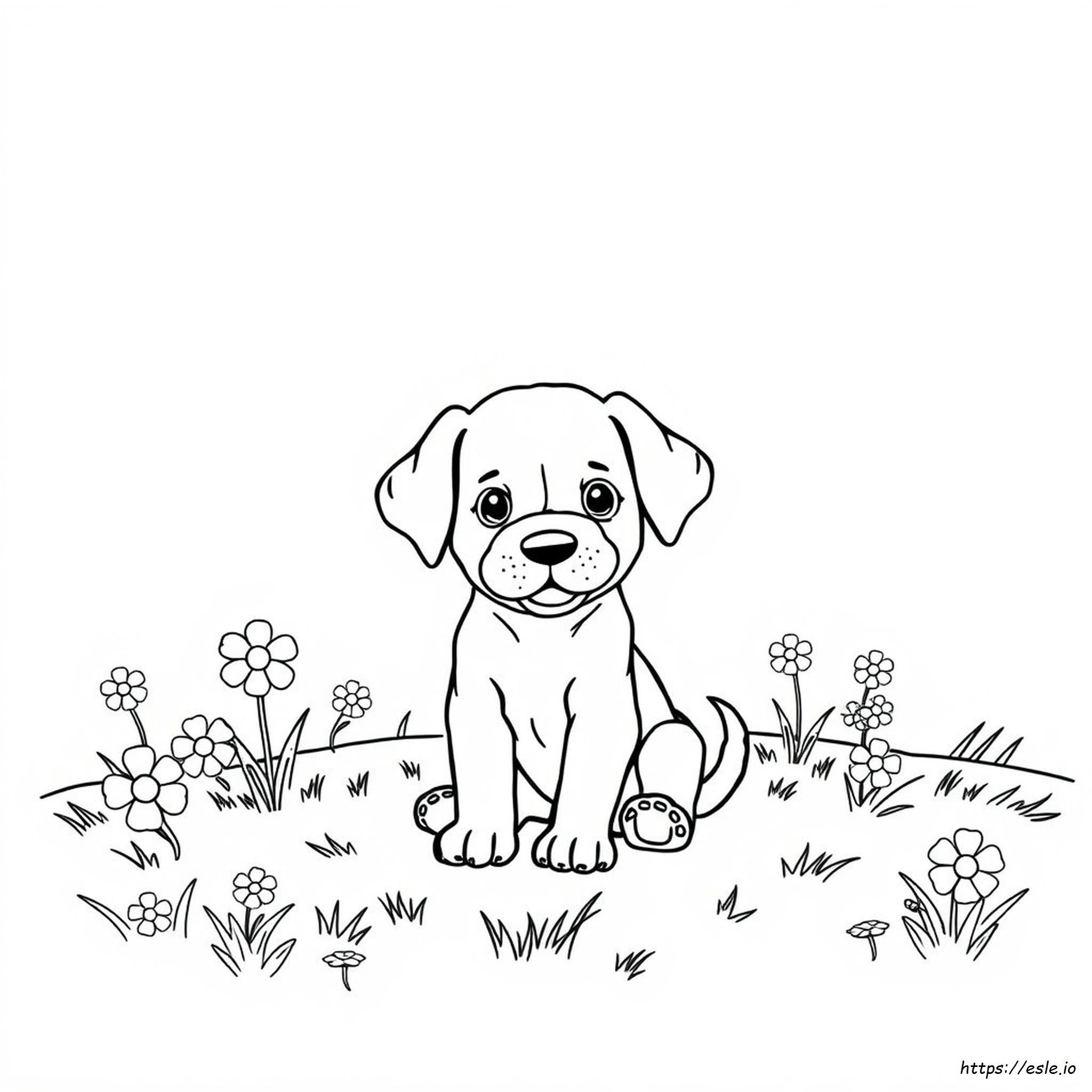 Colouring Pages Of Puppies To Print