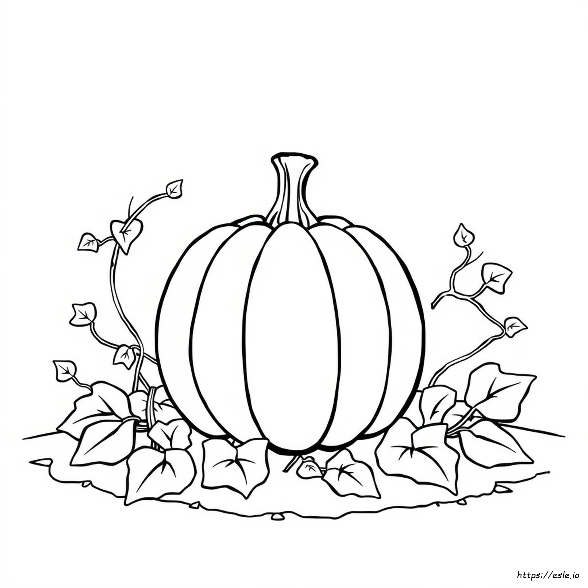 Pagina Da Colorare Zucca Facile