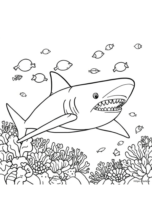 Megalodón Para Colorear