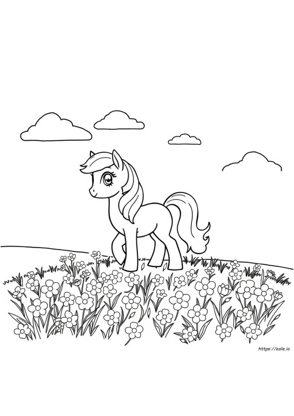 Libro Da Colorare Del Piccolo Pony