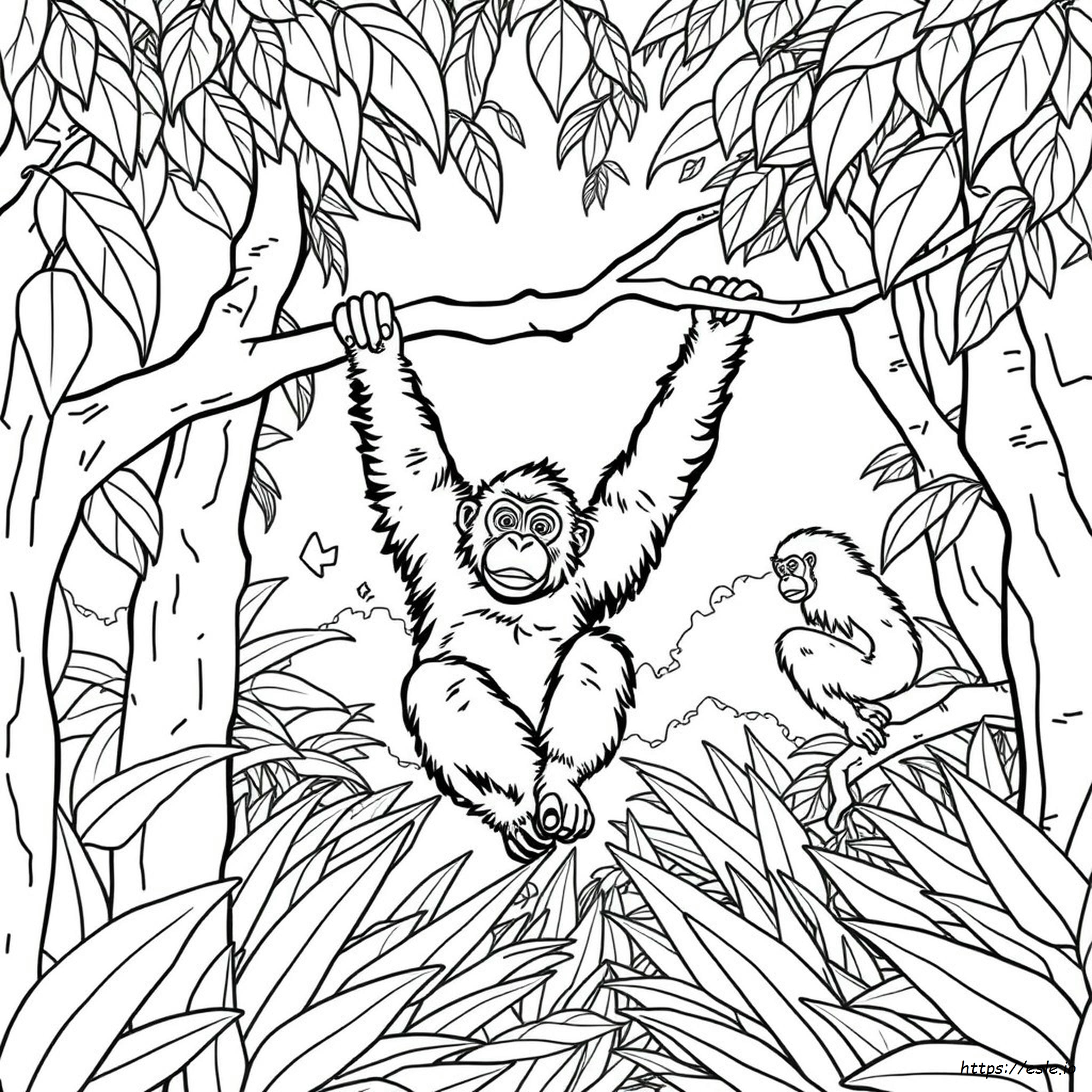 Desenhos De Orangotango Para Colorir E Imprimir