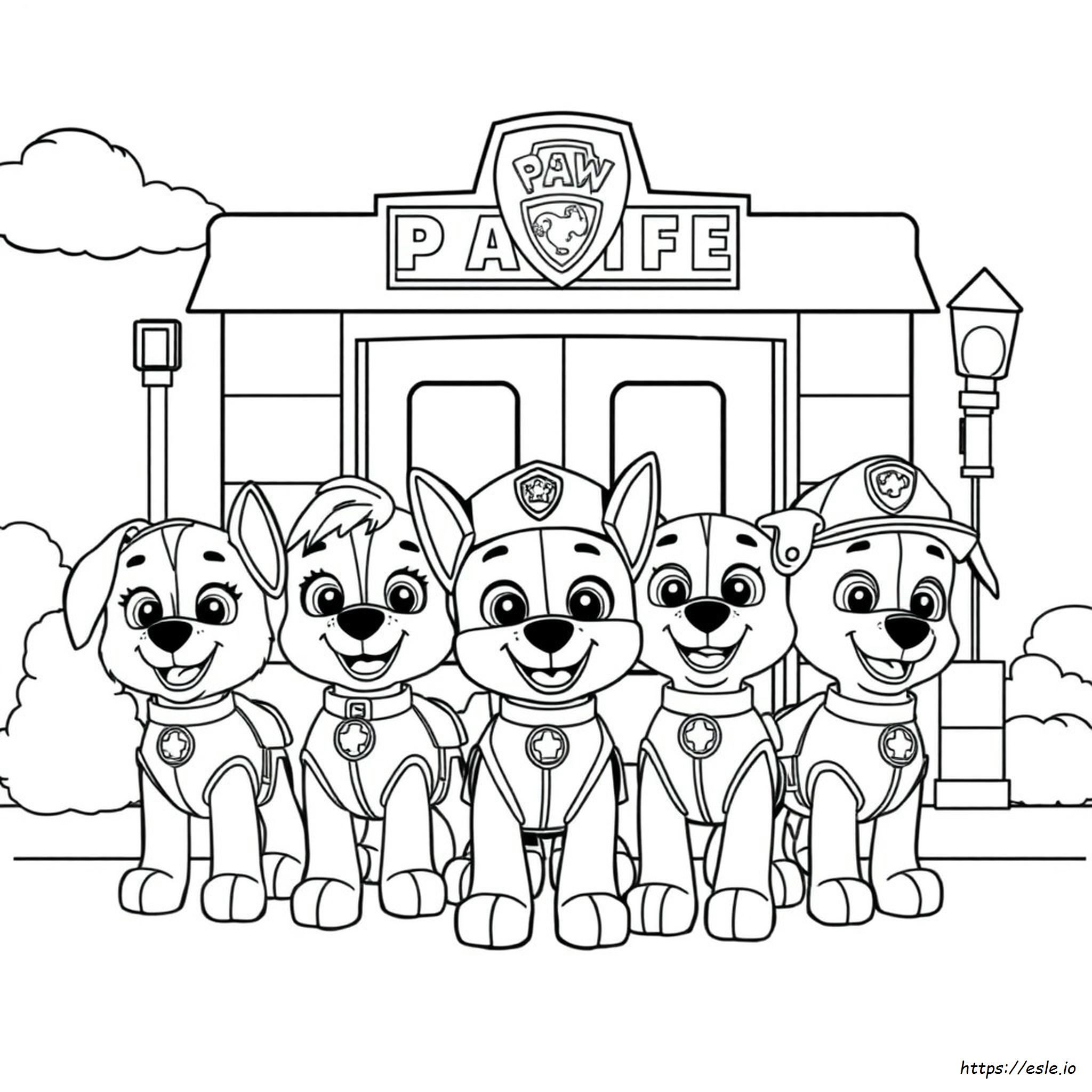 Paw Patrol Boyama Resmi