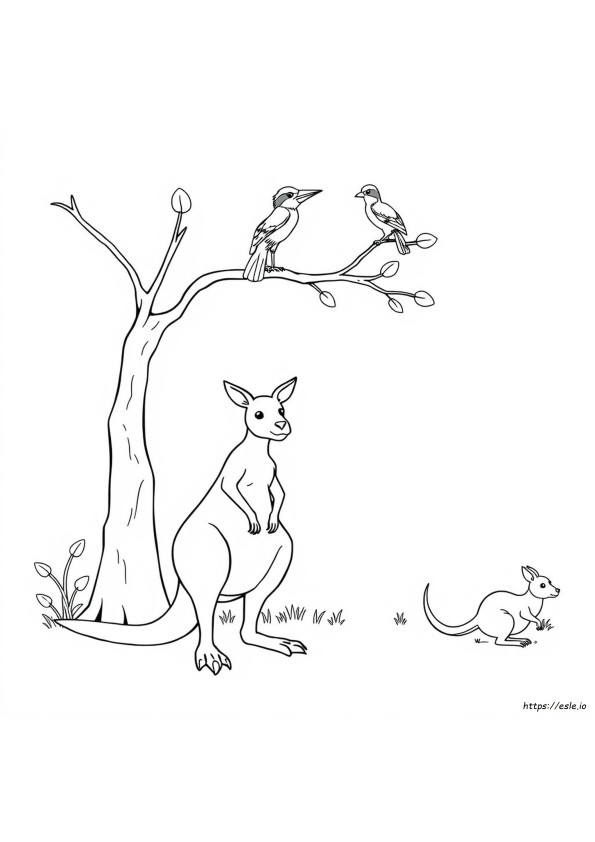 Animali Australiani Da Colorare Gratis