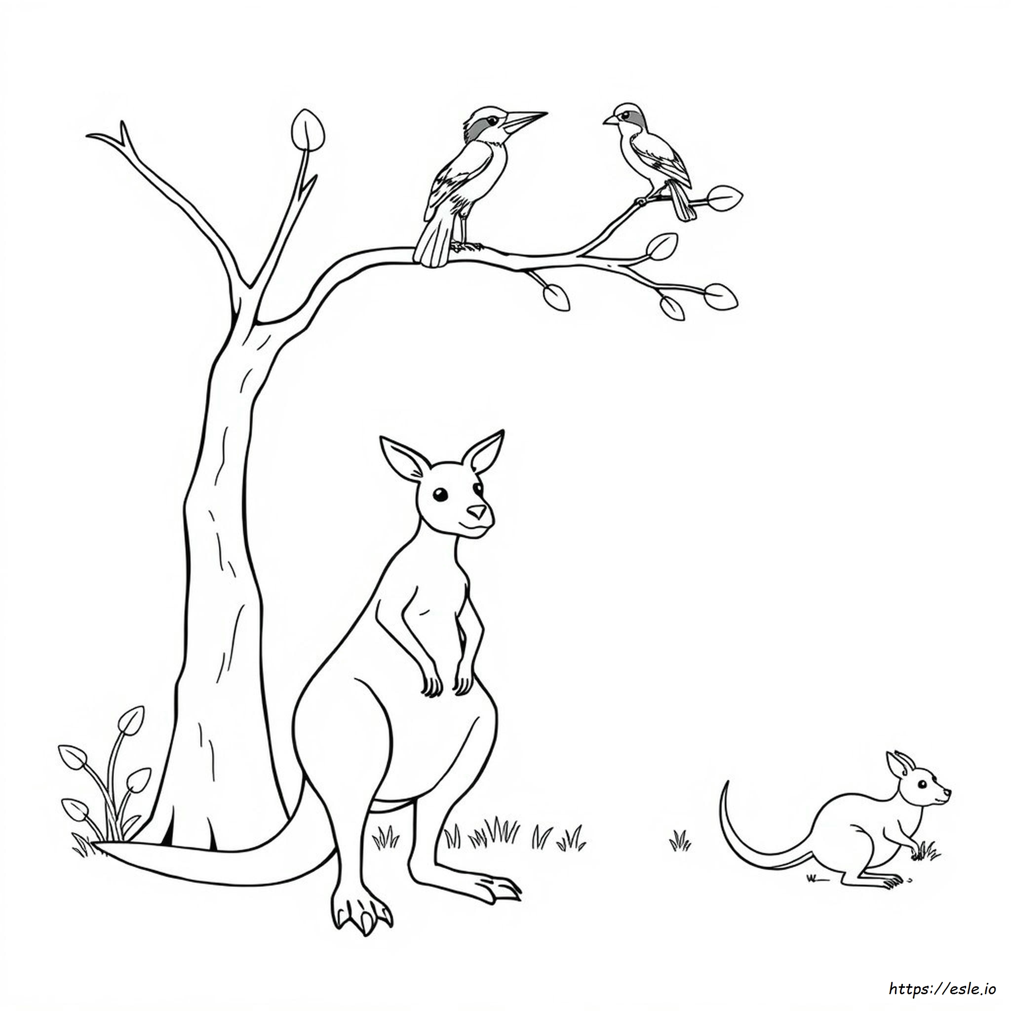 Free Colouring Pages Australian Animals