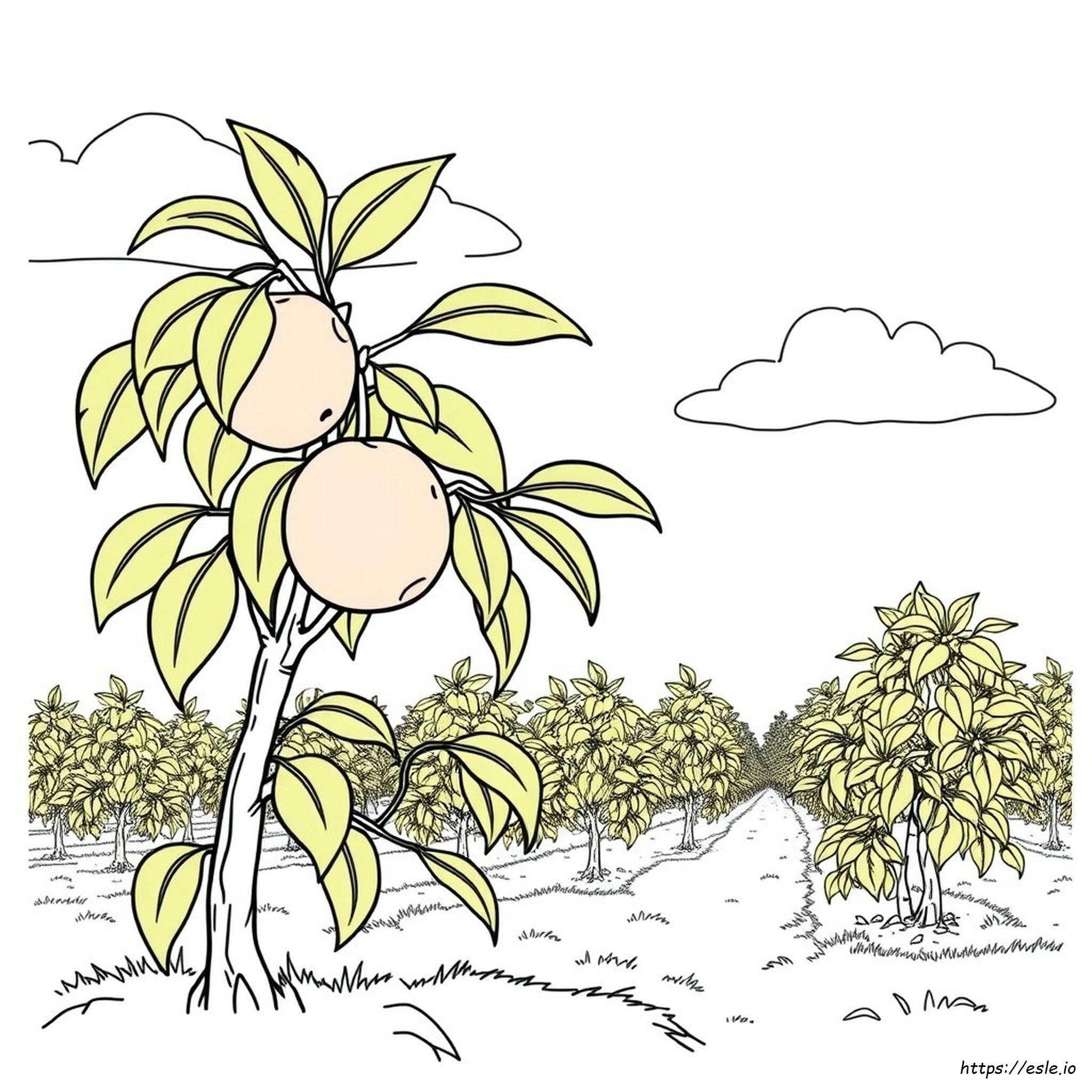 Georgia Peach Coloring Page