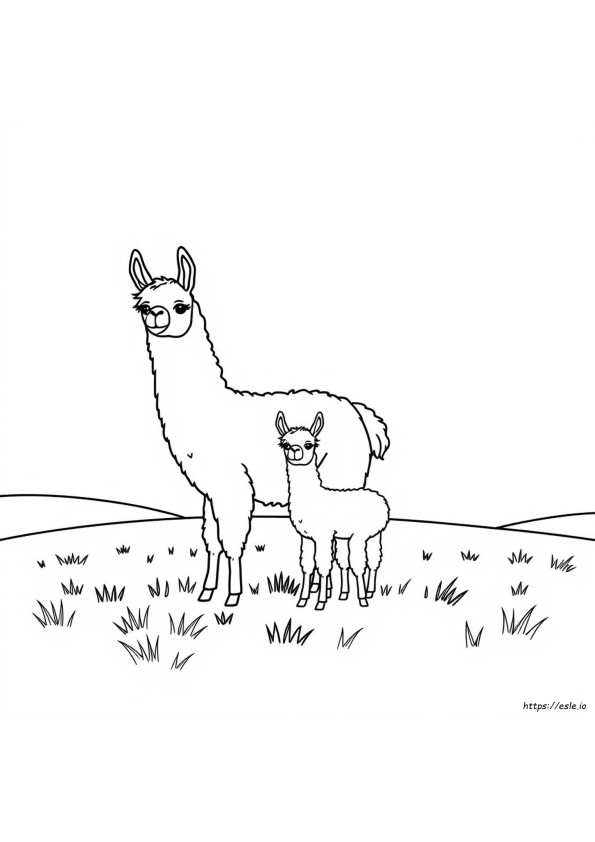 Mamãe Lhama Para Colorir