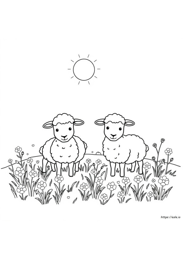 Coloriage Mouton À Imprimer