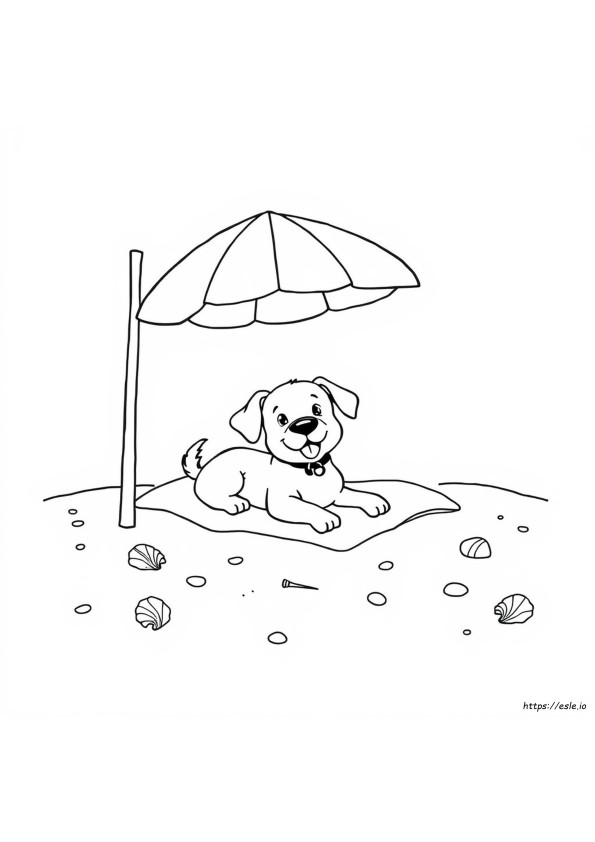 Summer Dog Coloring Pages