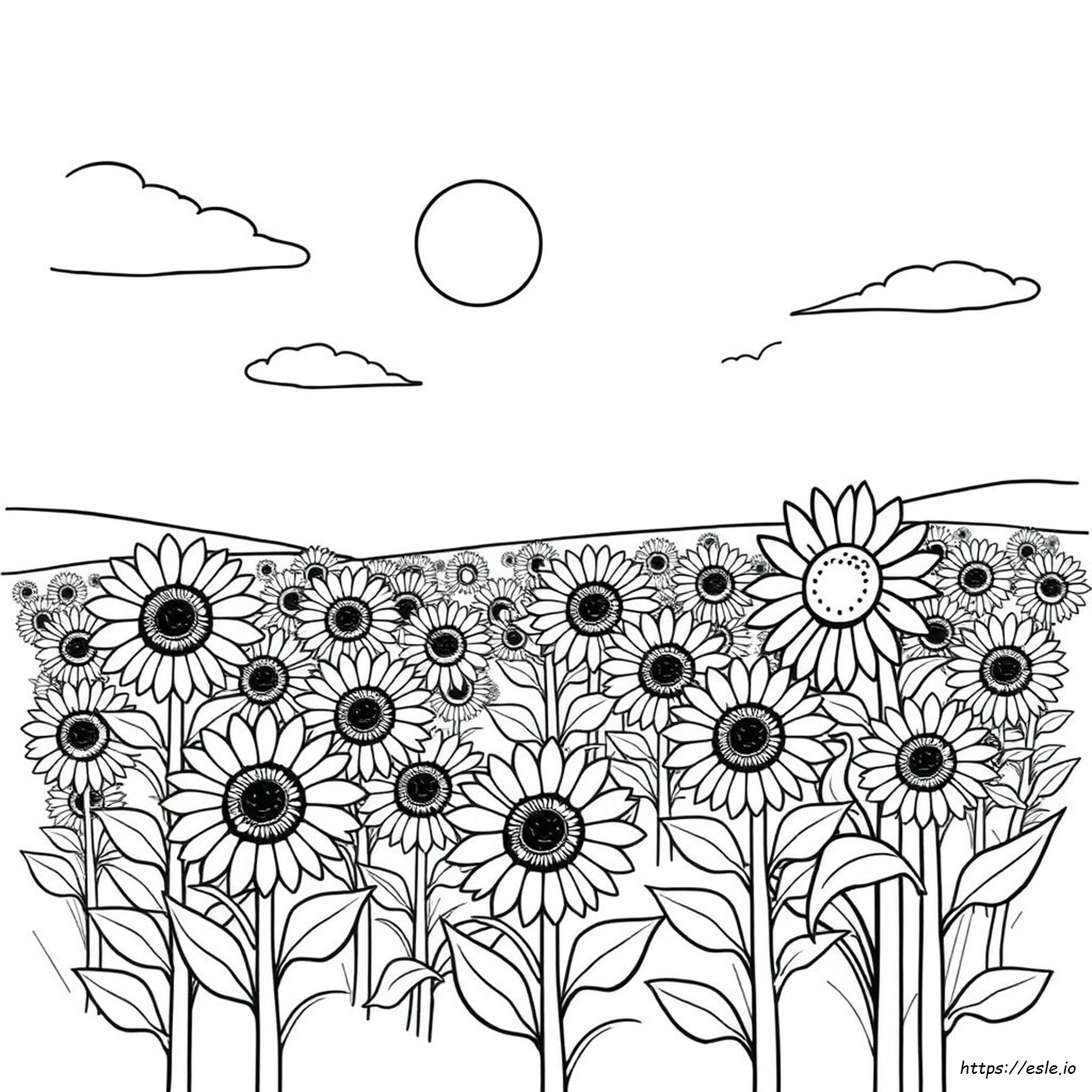 Color By Number Coloring Pages Kids