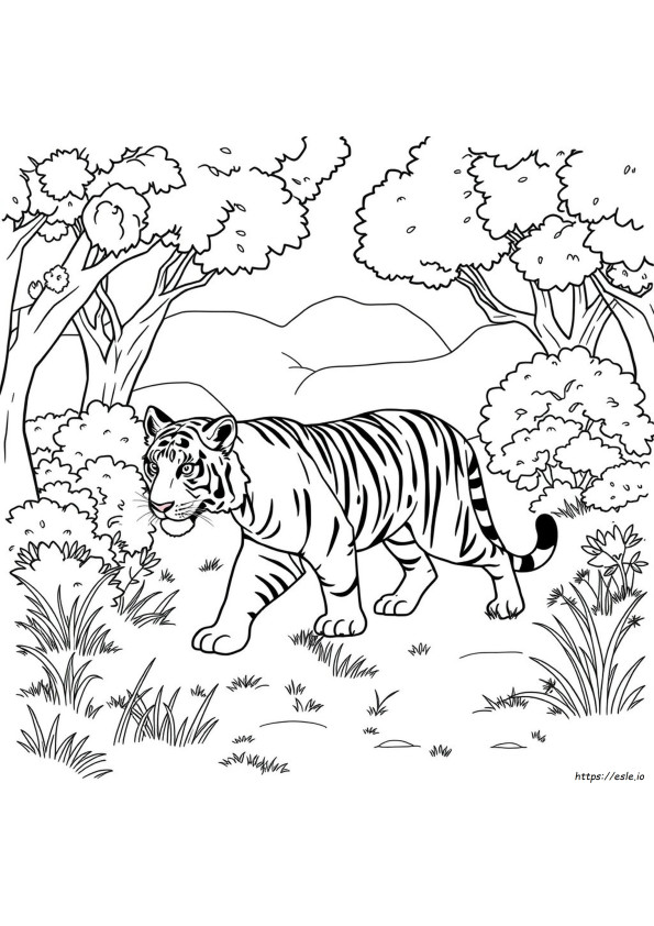 Tigri Da Colorare Per Bambini