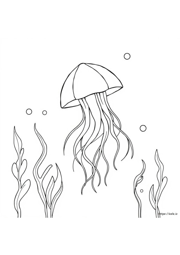 Colouring Jellyfish