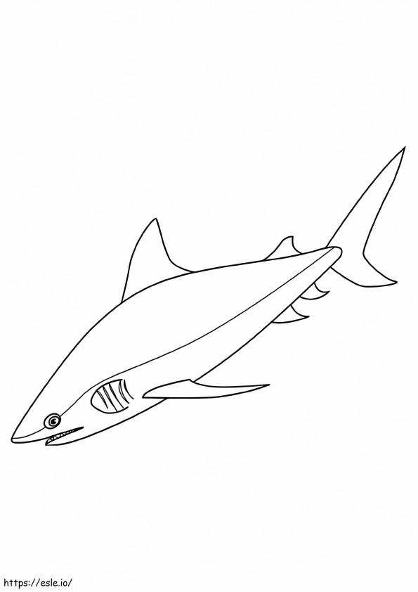  Tiburón toro A4 para colorear