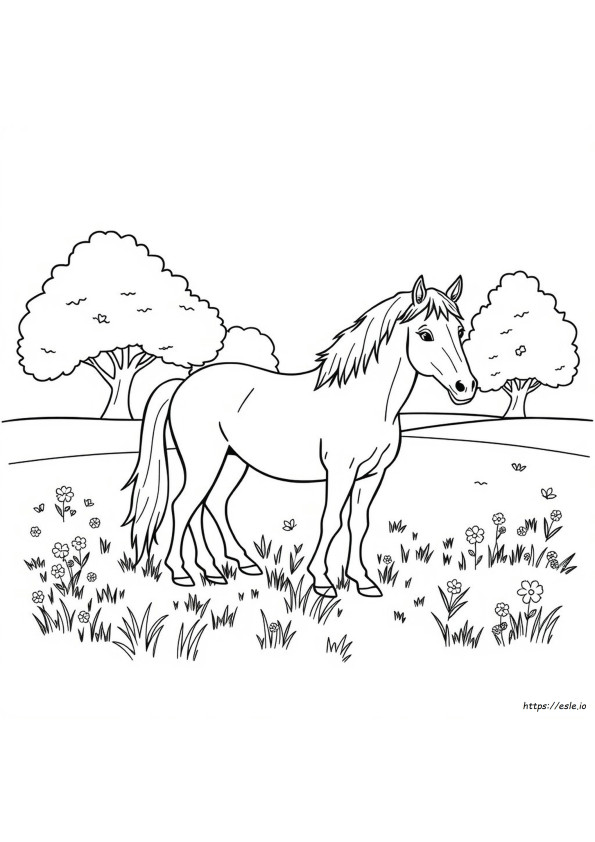 Coloring Book Horse Pictures