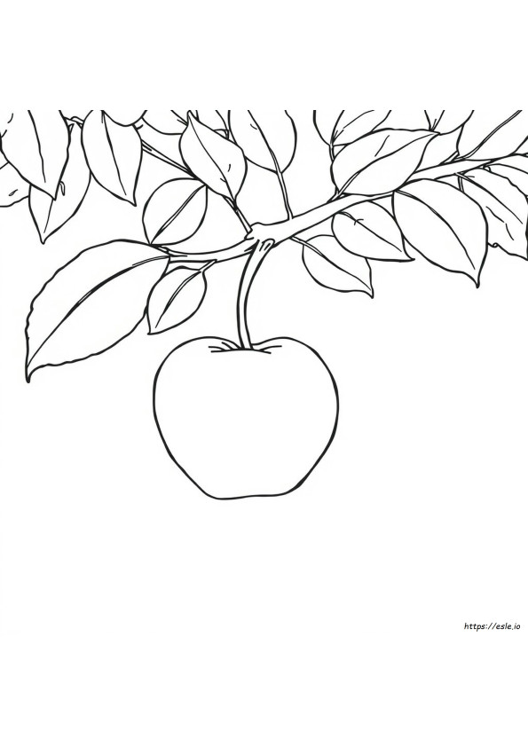 Colouring Page For Apple