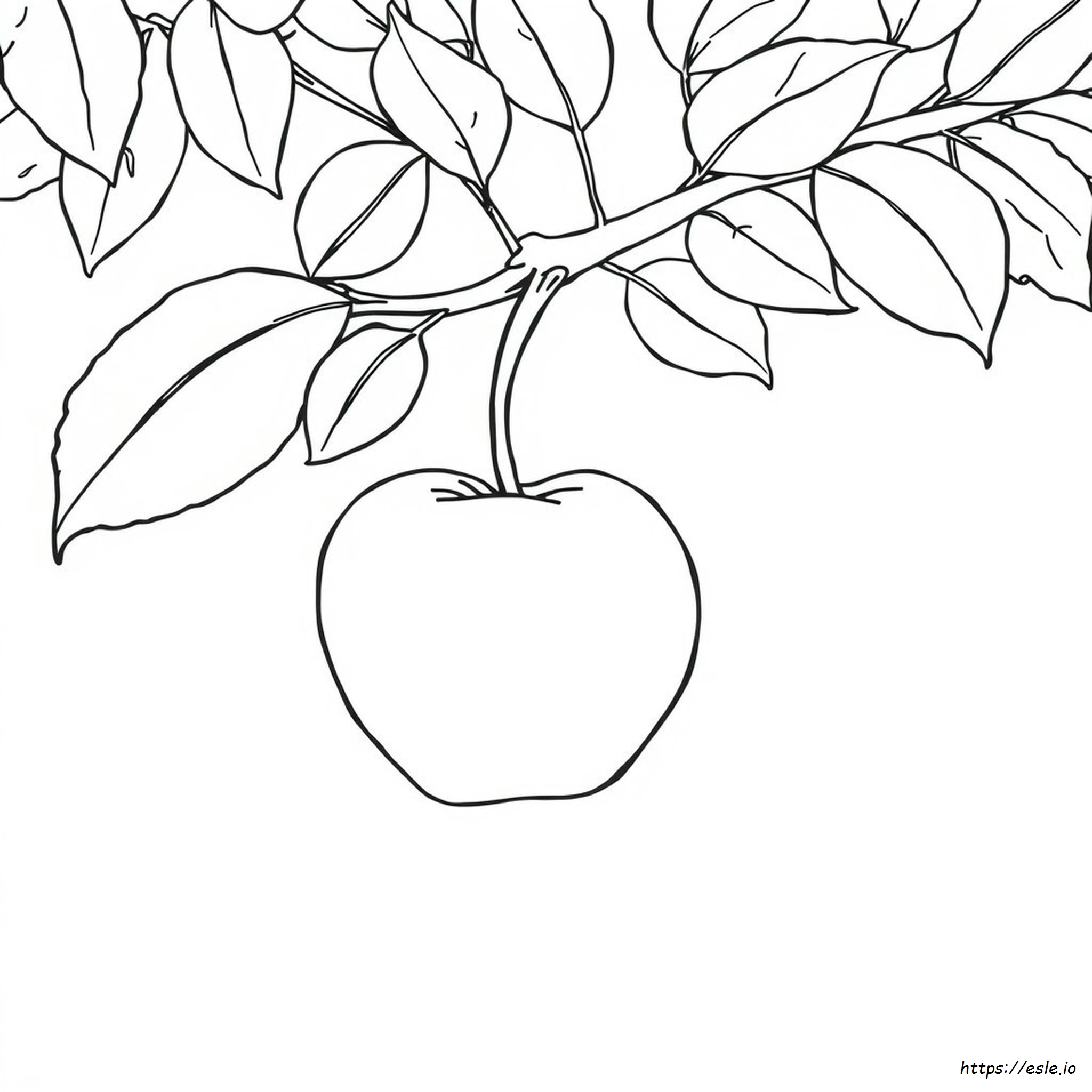 Colouring Page For Apple