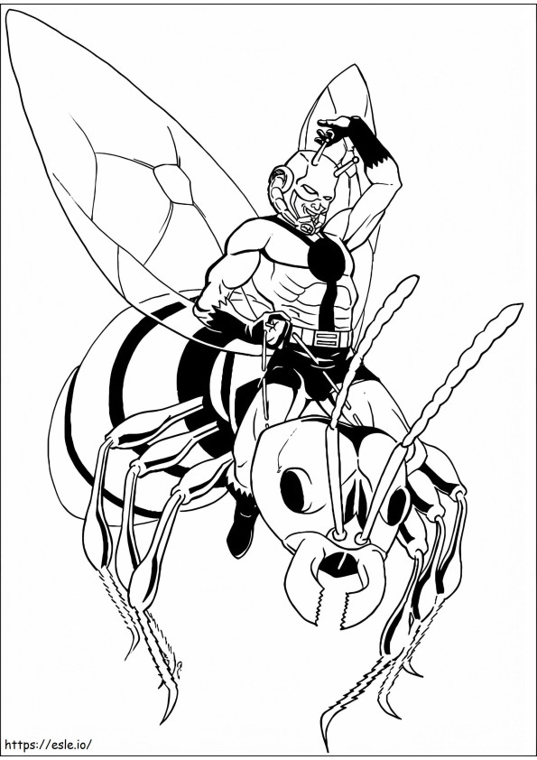 Marvel Ant Man de colorat