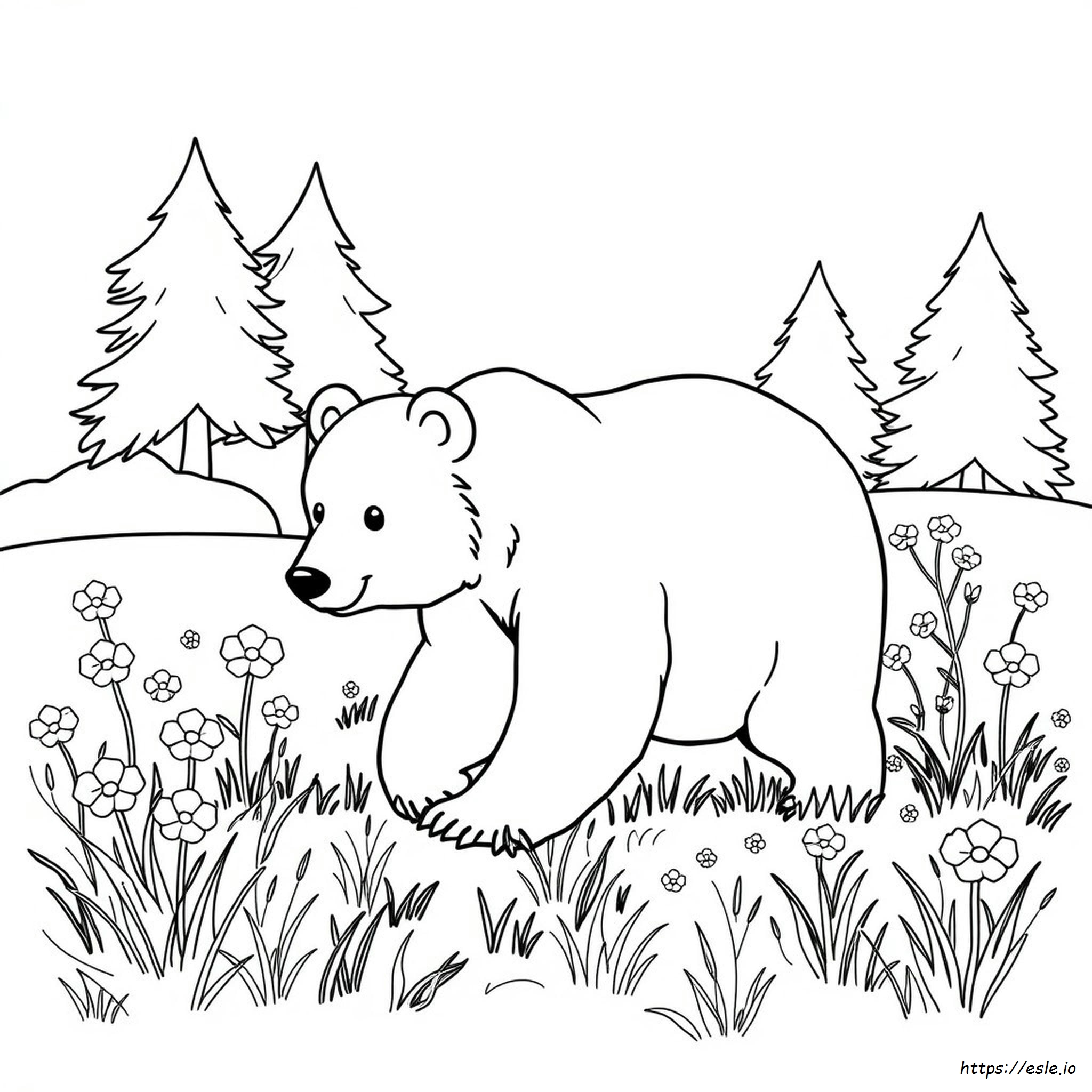 Free Bear Coloring Pages