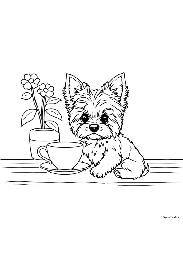 Gambar Mewarnai Teacup Yorkie
