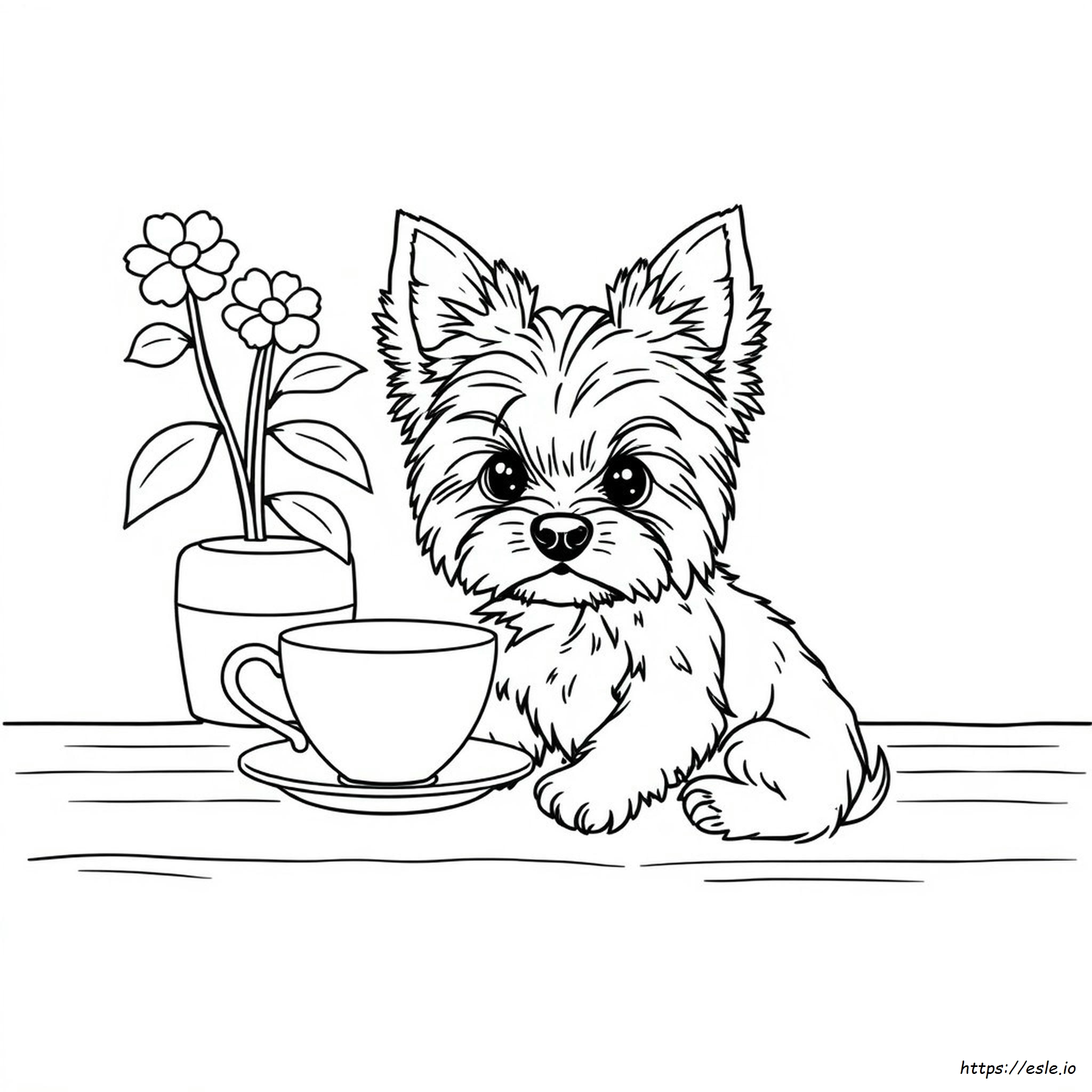 Yorkie Teacup Da Colorare