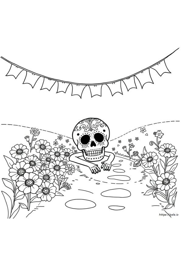 Coco Doodshoofd Kleurplaten