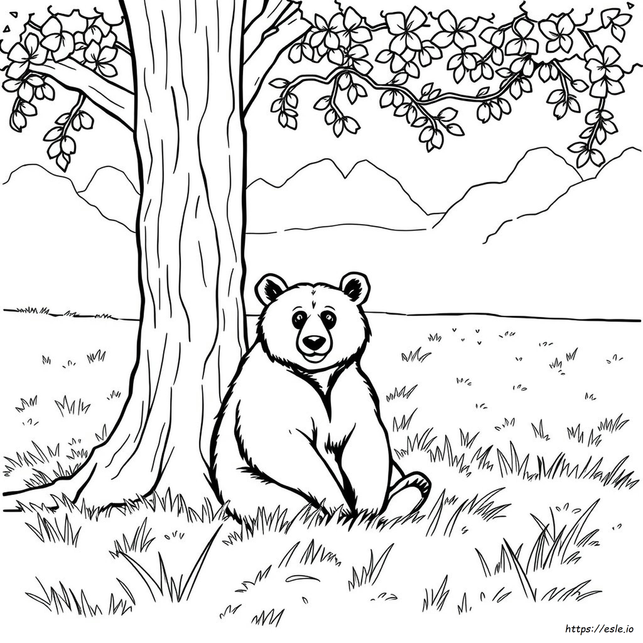 Free Printable Coloring Pages Black Bear