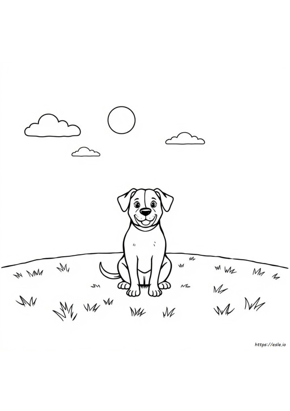 Perros Para Colorear Online