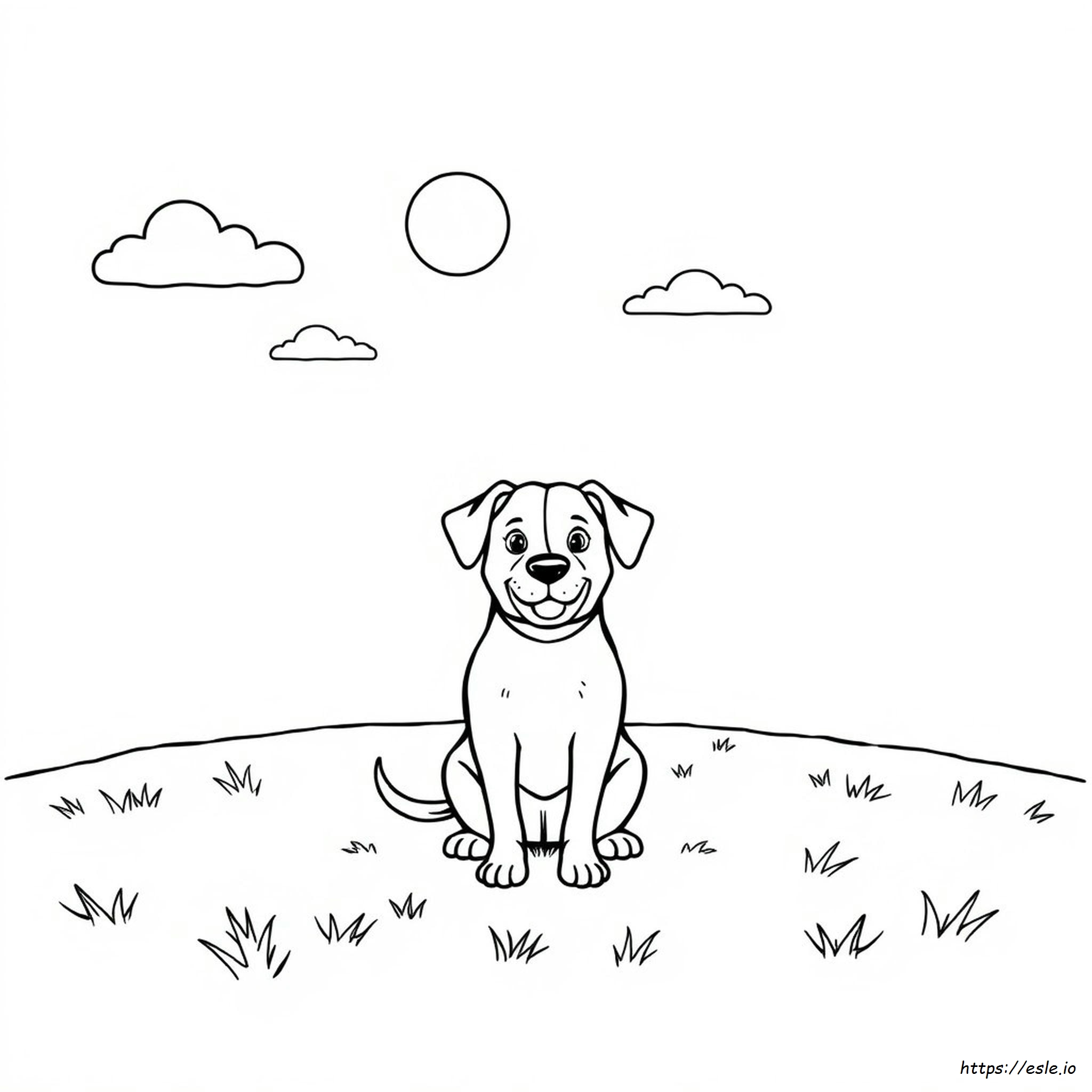 Hunde Ausmalbilder Online