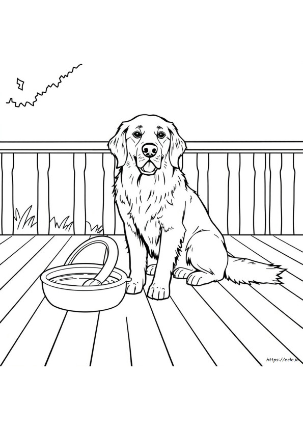 Gambar Mewarnai Golden Retriever