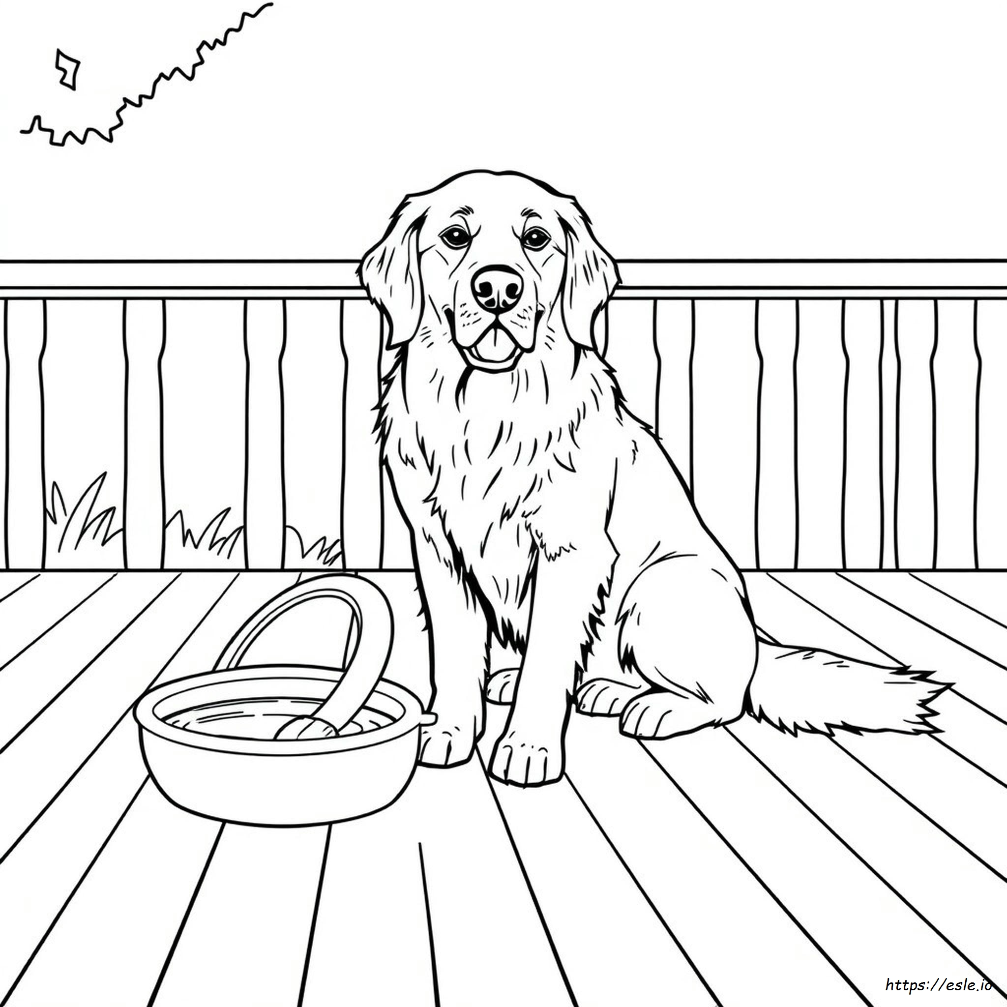 Immagini Da Colorare Golden Retriever