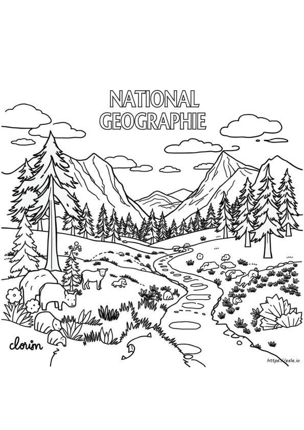 National Geographic Színező Oldalak