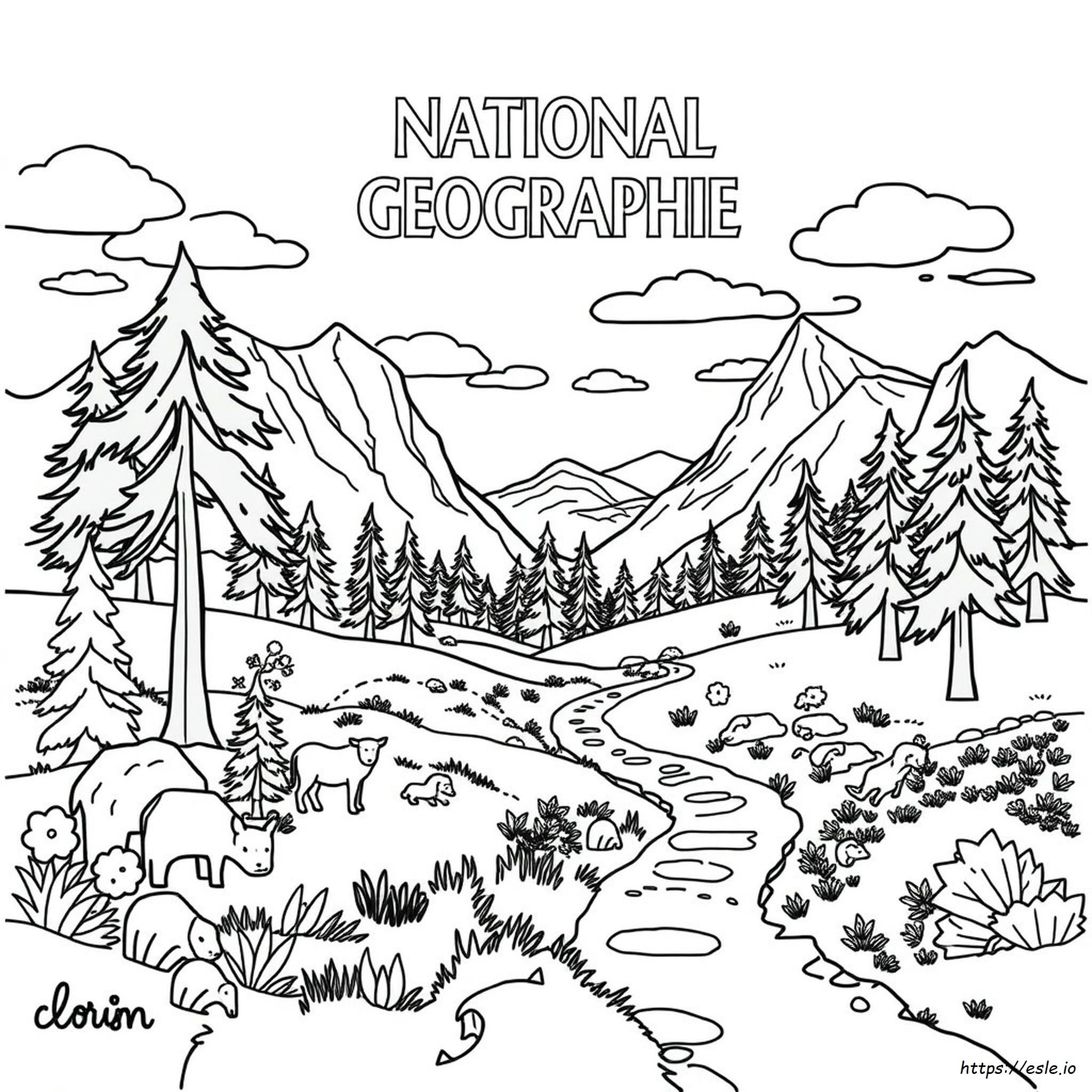 National Geographic Colouring Pages