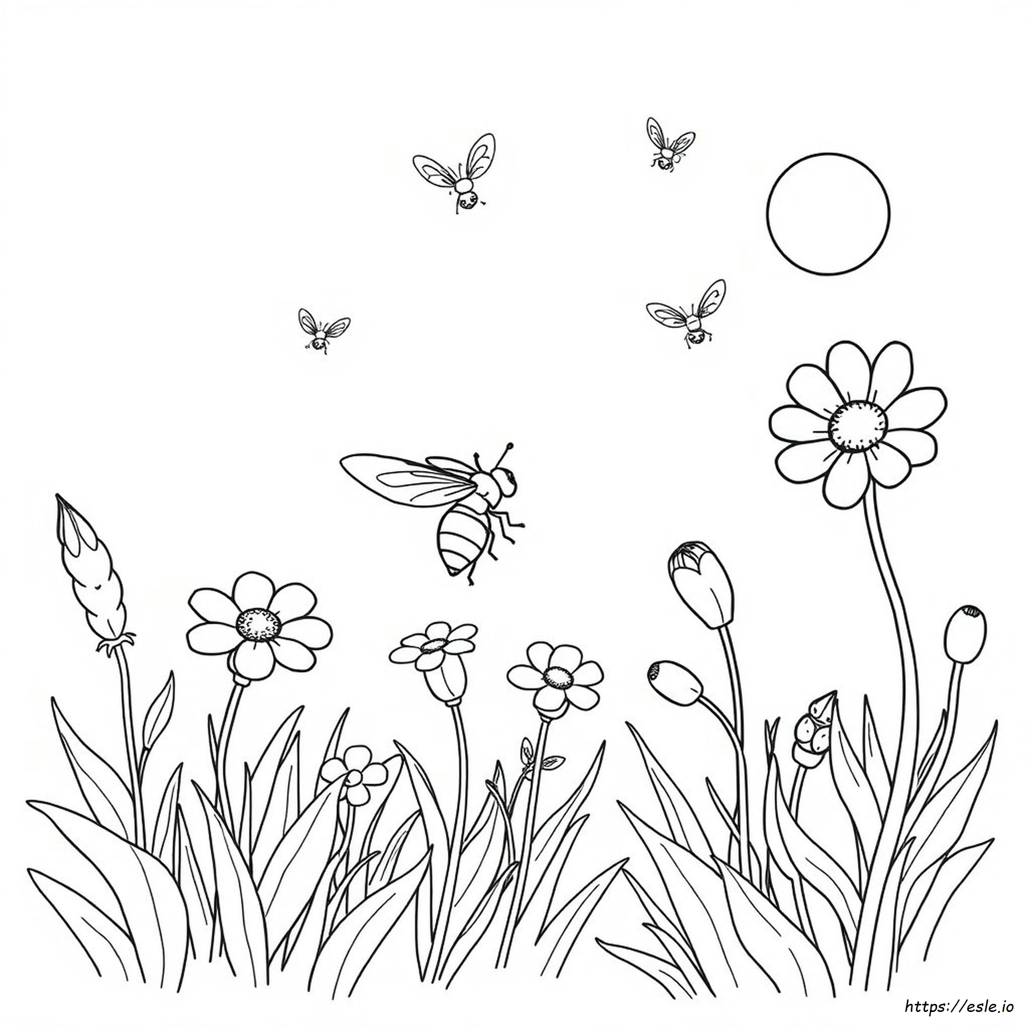 Are Gnats Attracted To Certain Colors