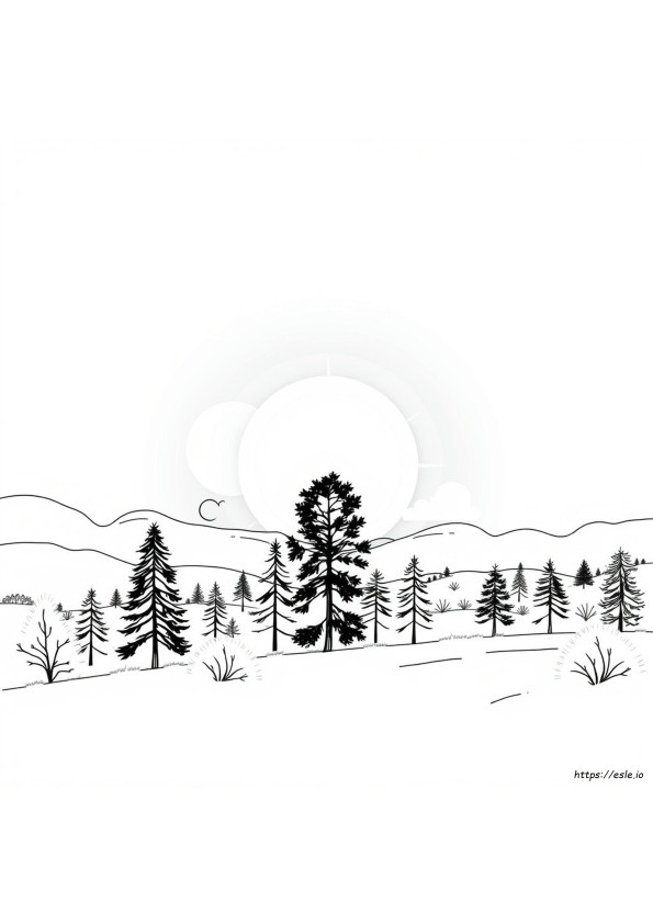 Coloriage Total
