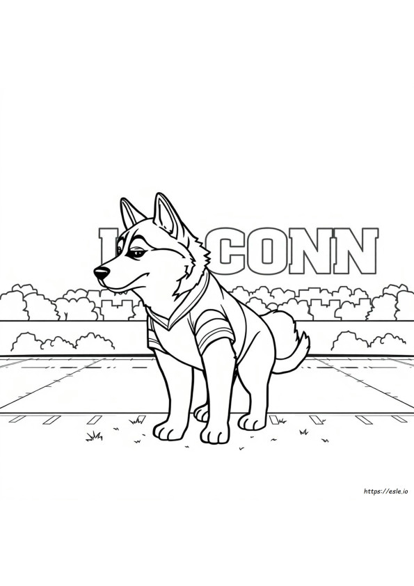 Kolorowanka Uconn Huskies