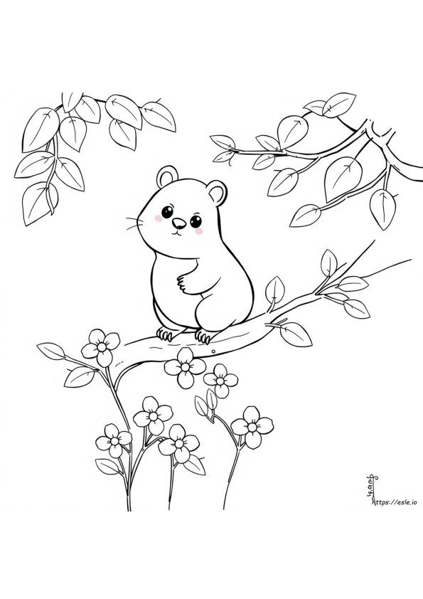 Kolorowanki Hamtaro
