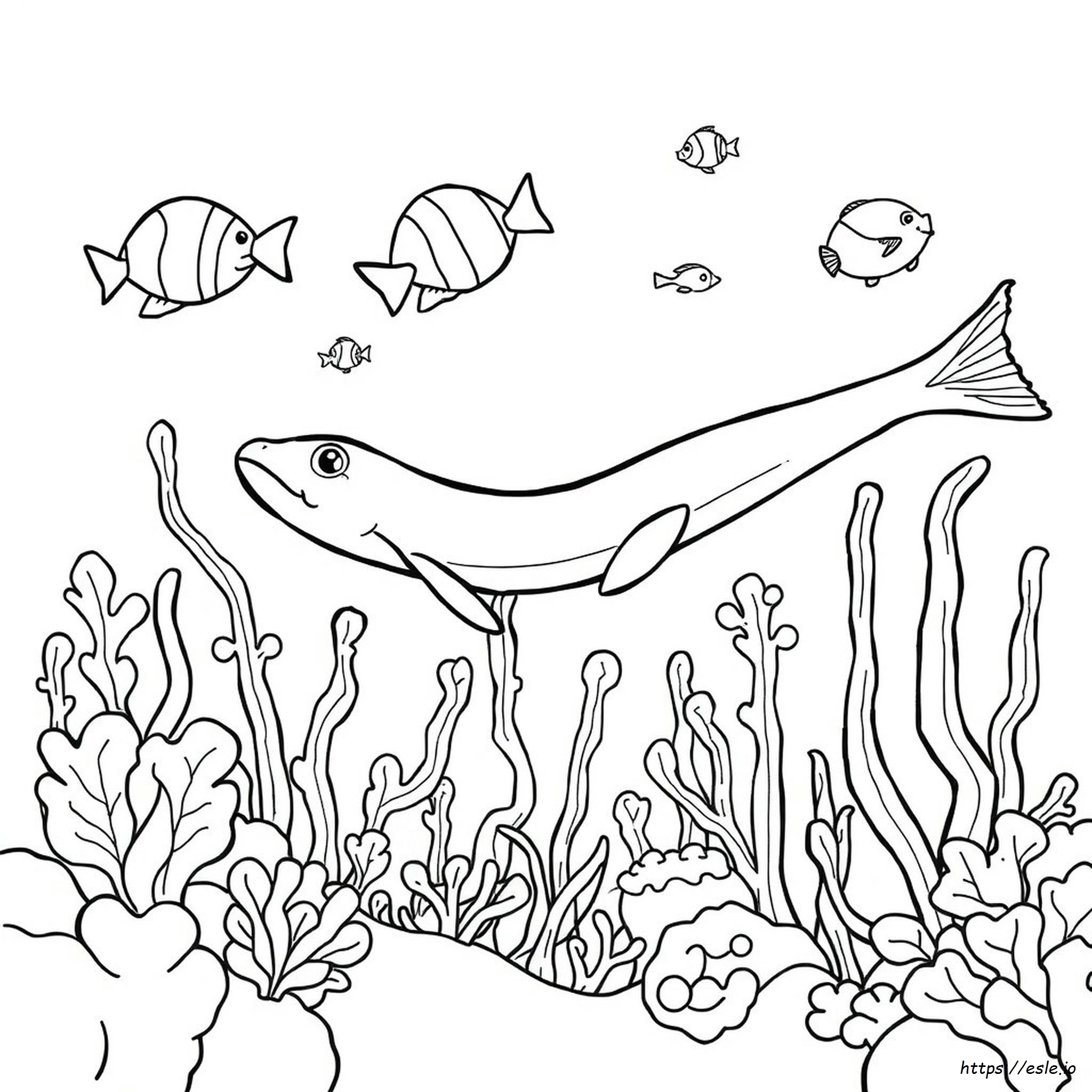 Coloring Pages Of Eels
