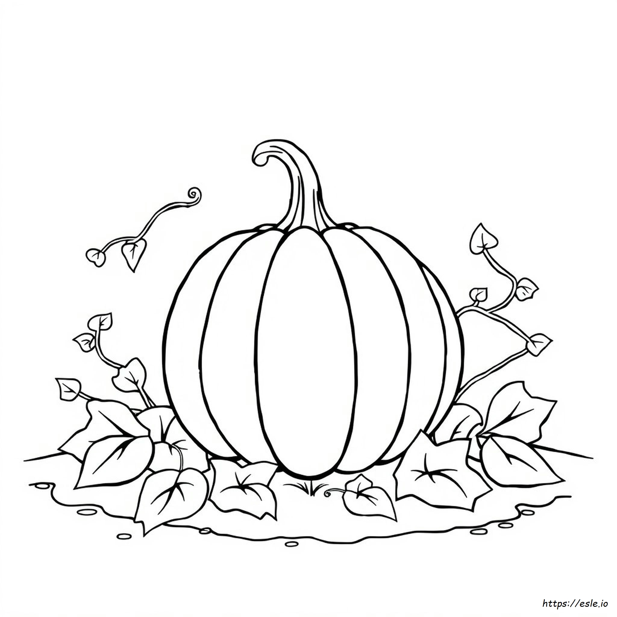 Pumpkin Coloring Pages To Print Free