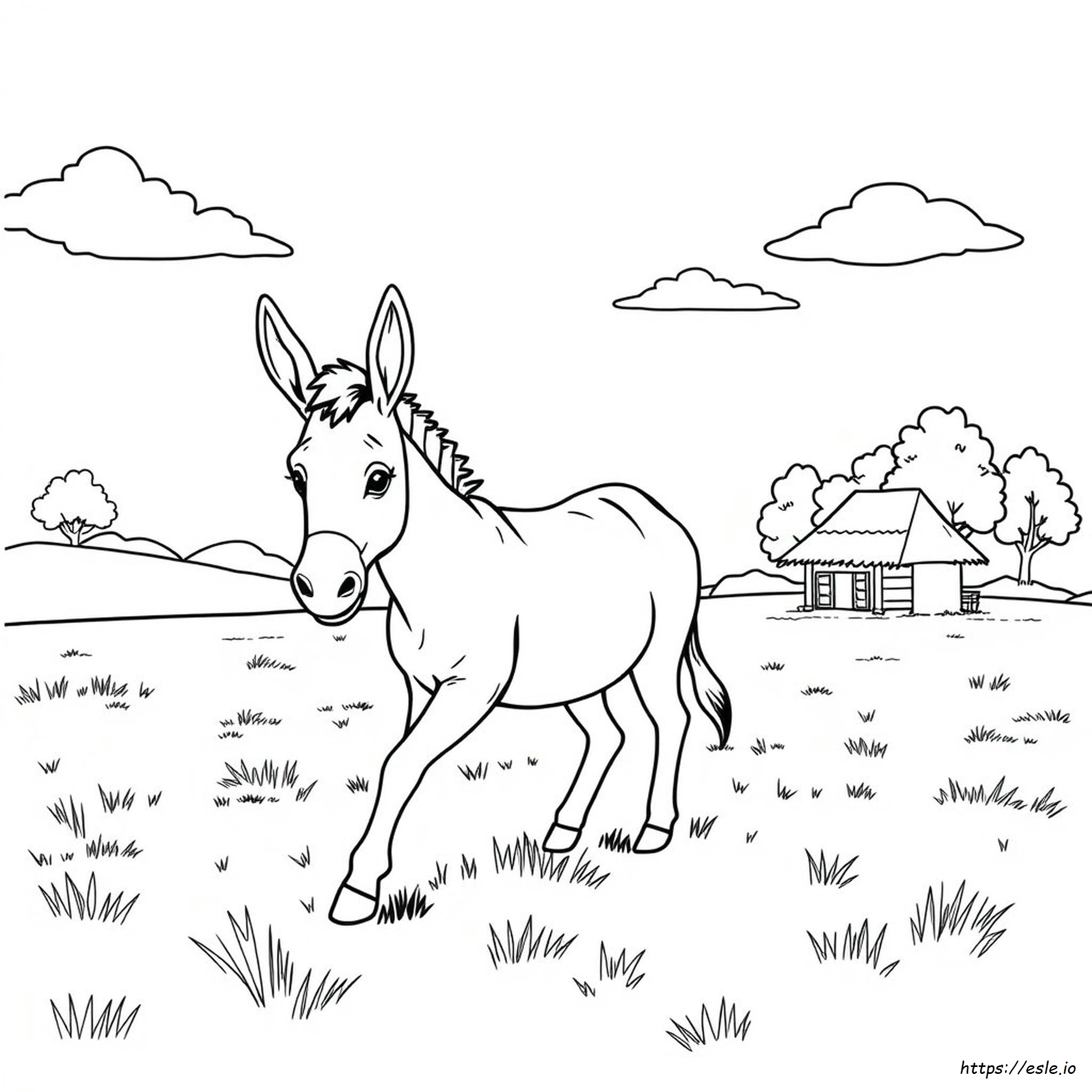 Realistic Donkey Coloring Pages