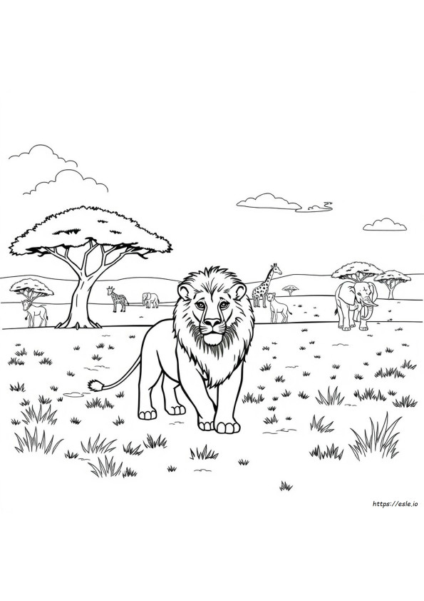 Coloriages Safari Africain