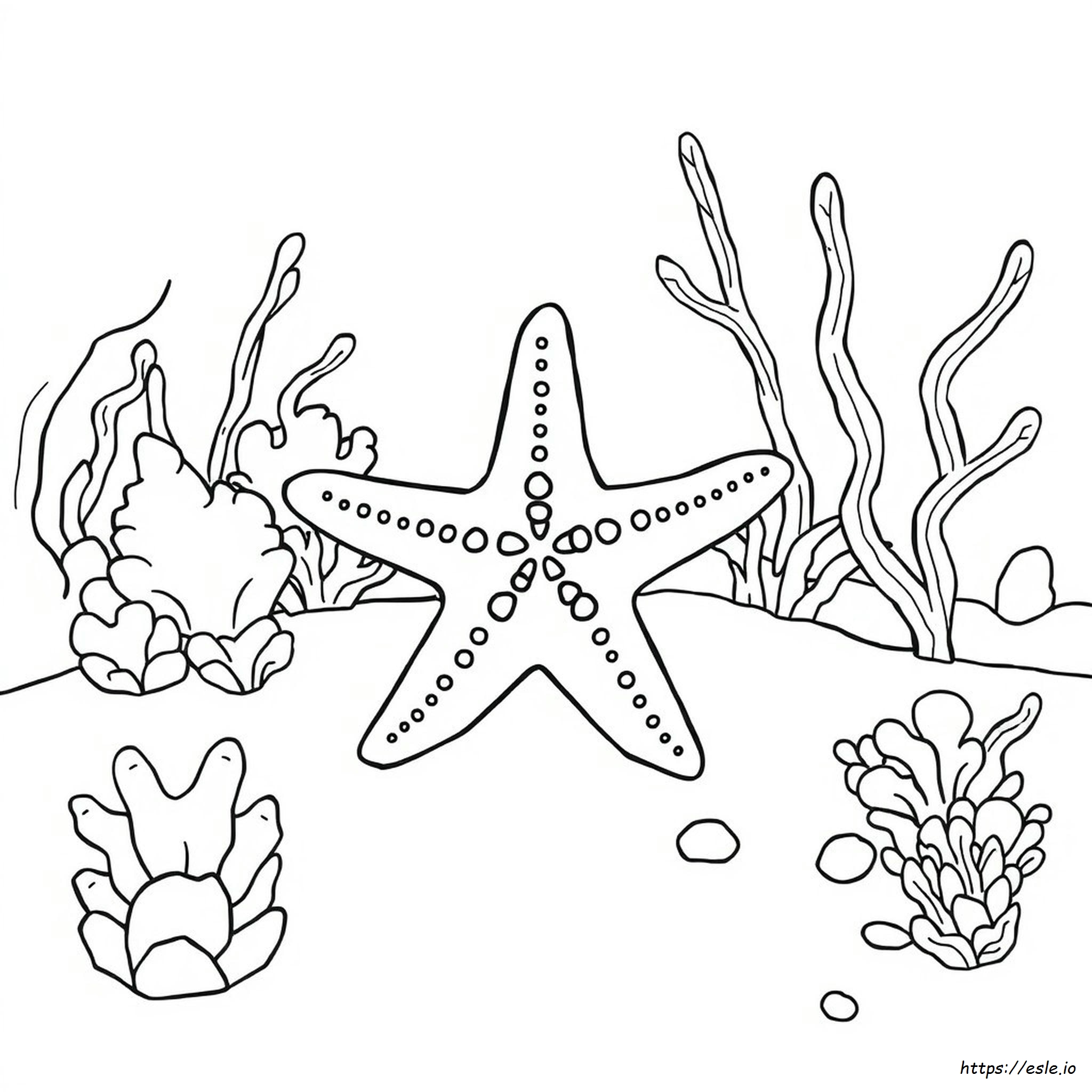 Starfish Coloring Page Pdf