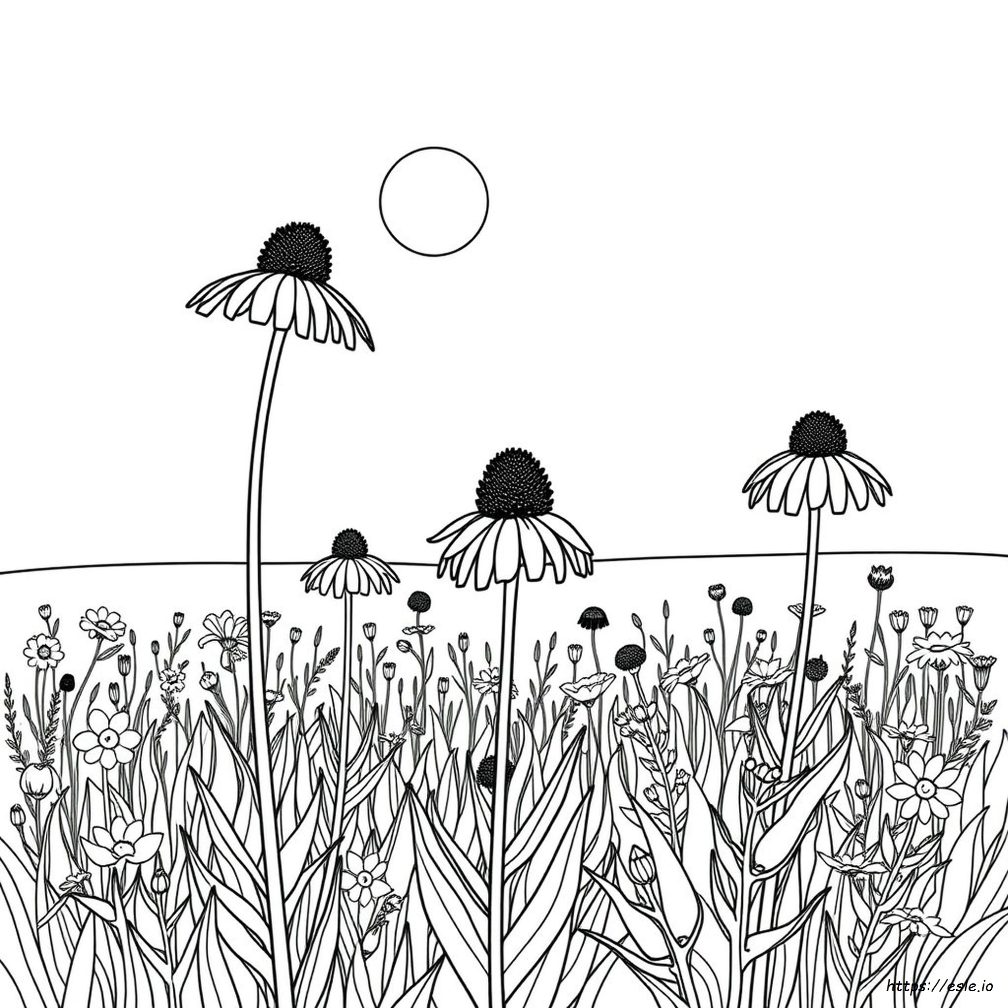 North Dakota State Flower Coloring Page