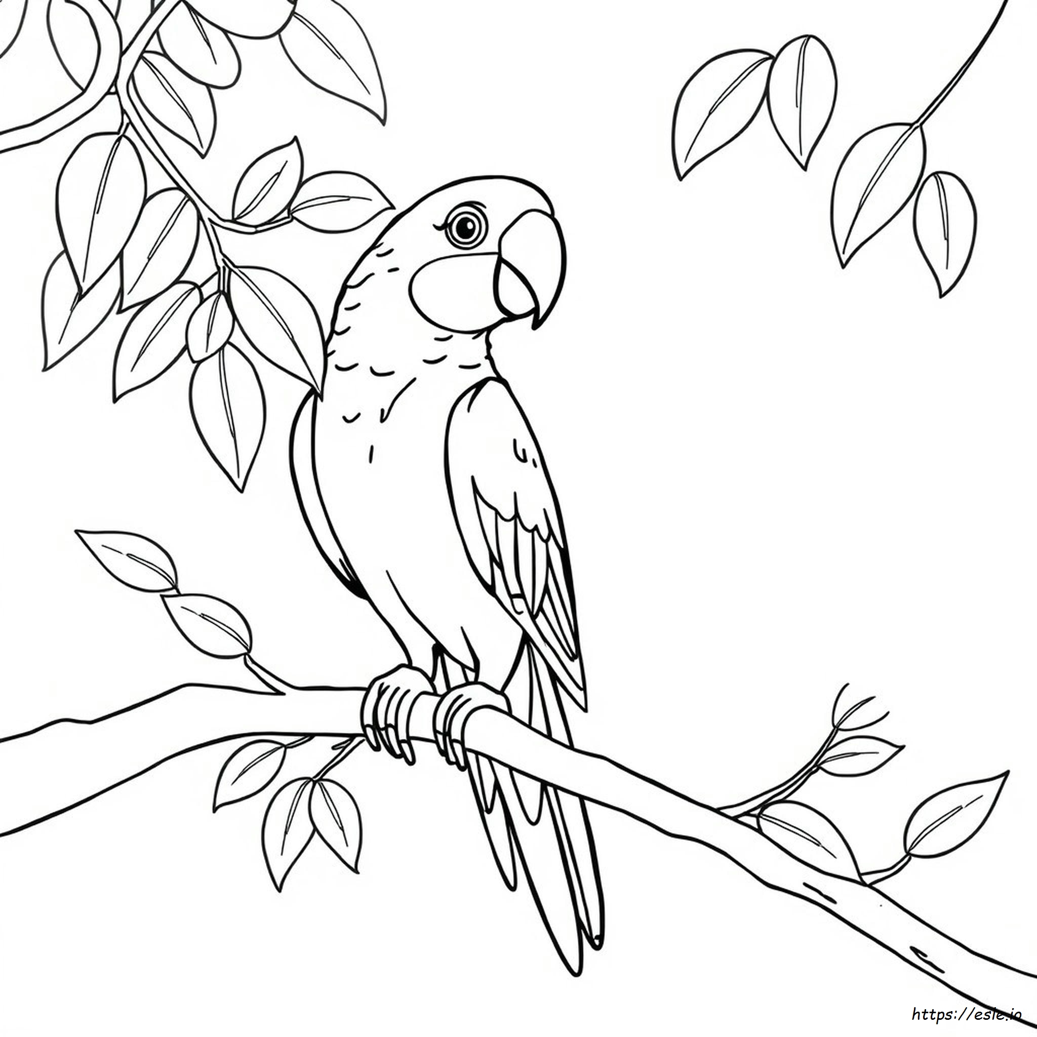 Printable Parrot Coloring Pages